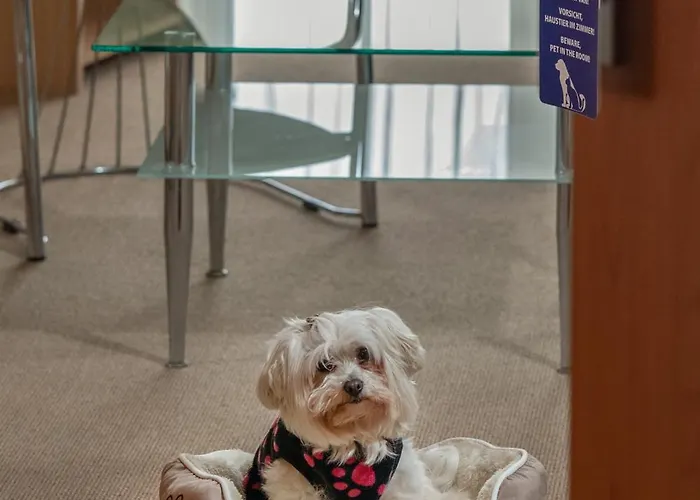 Vital 4* ザラカロシュ